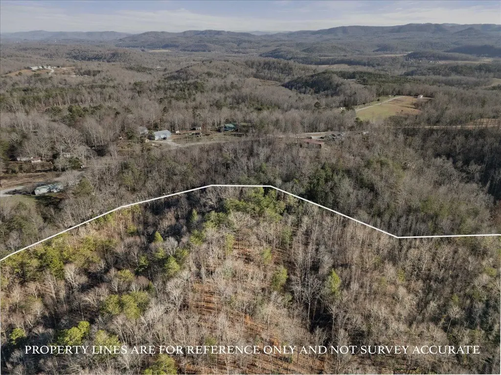 3550 River Road Williamsburg KY 40769