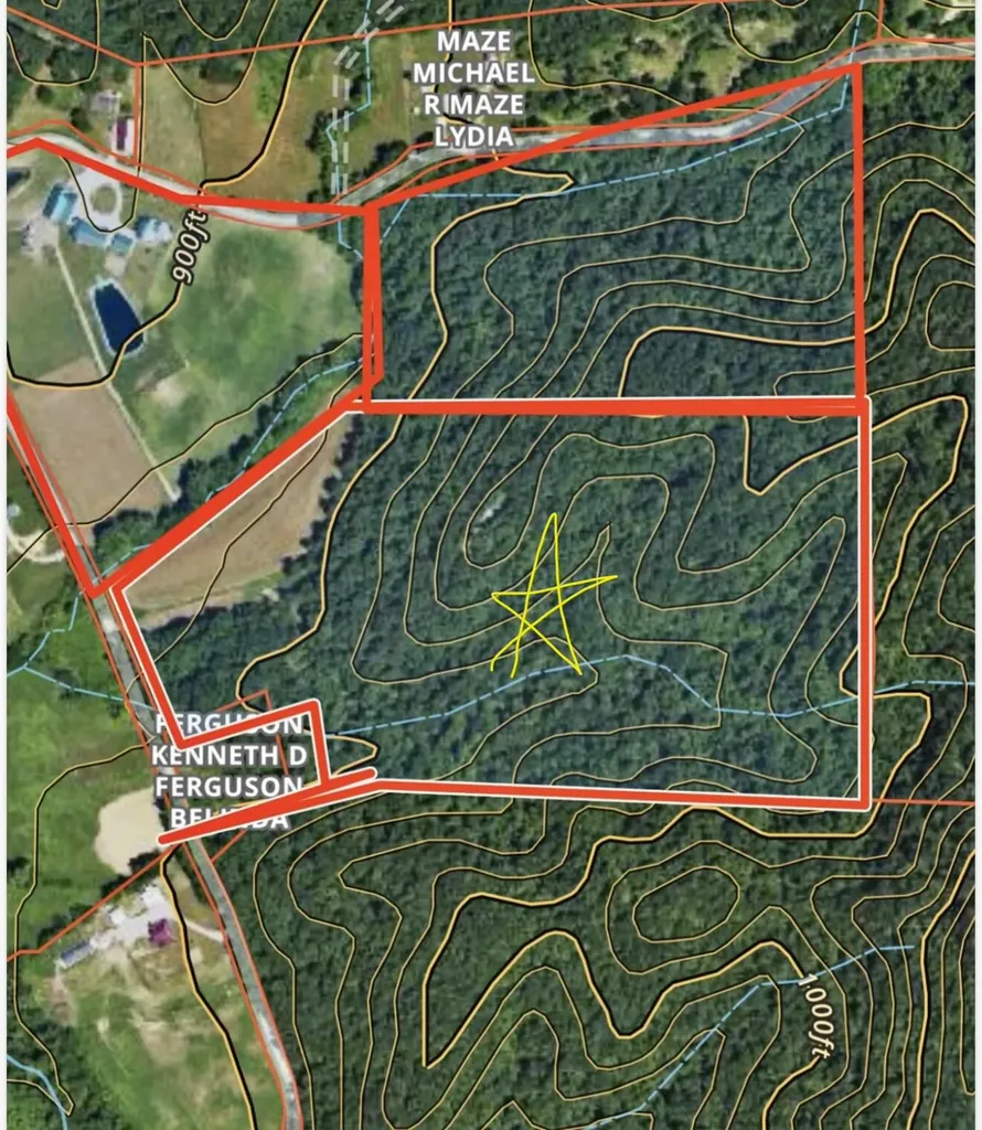 4445-2 Pine Grove Road Means KY 40346