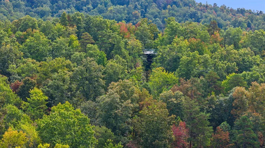 4445-2 Pine Grove Road Means KY 40346