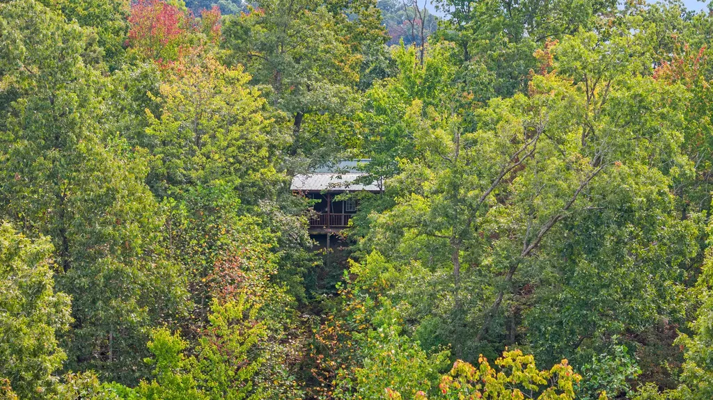 4445-2 Pine Grove Road Means KY 40346