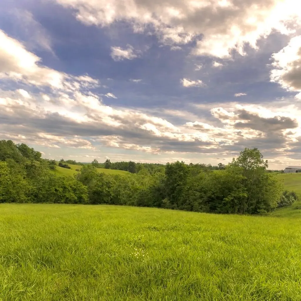1580 Sardis Road Sardis Road Mount Olivet KY 41064