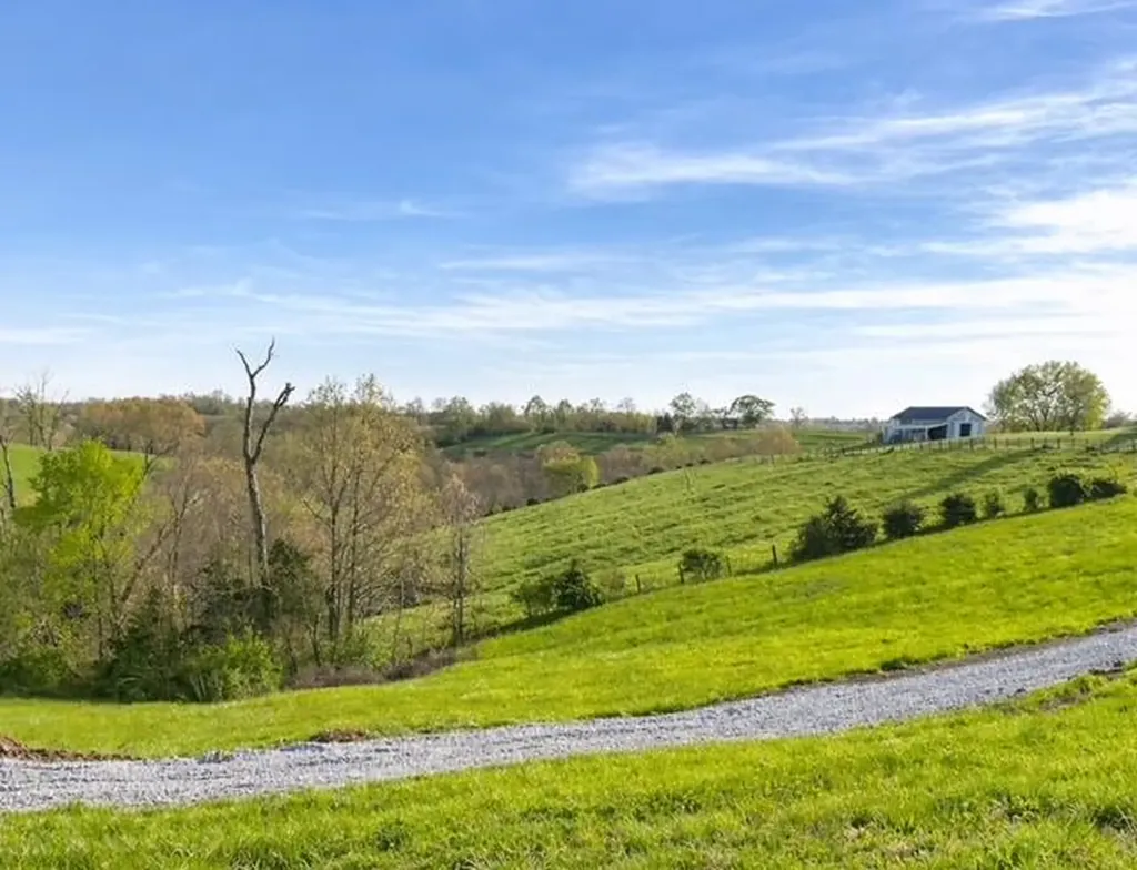 1580 Sardis Road Sardis Road Mount Olivet KY 41064