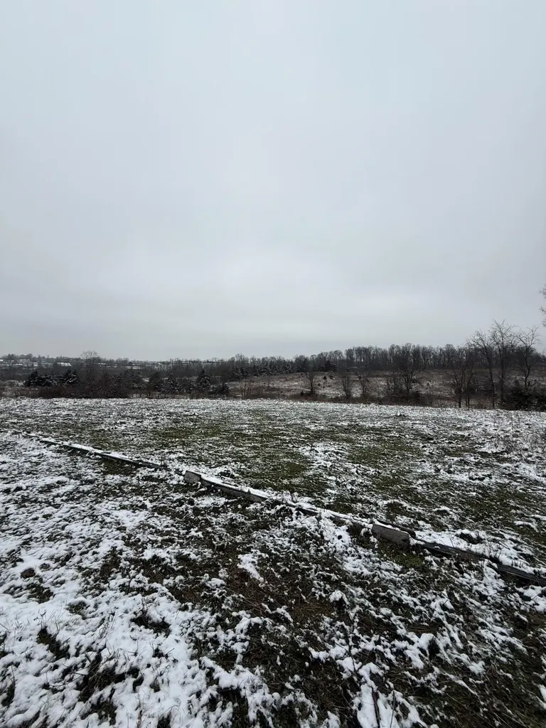 1013-B Salem Pike Cynthiana KY 41031
