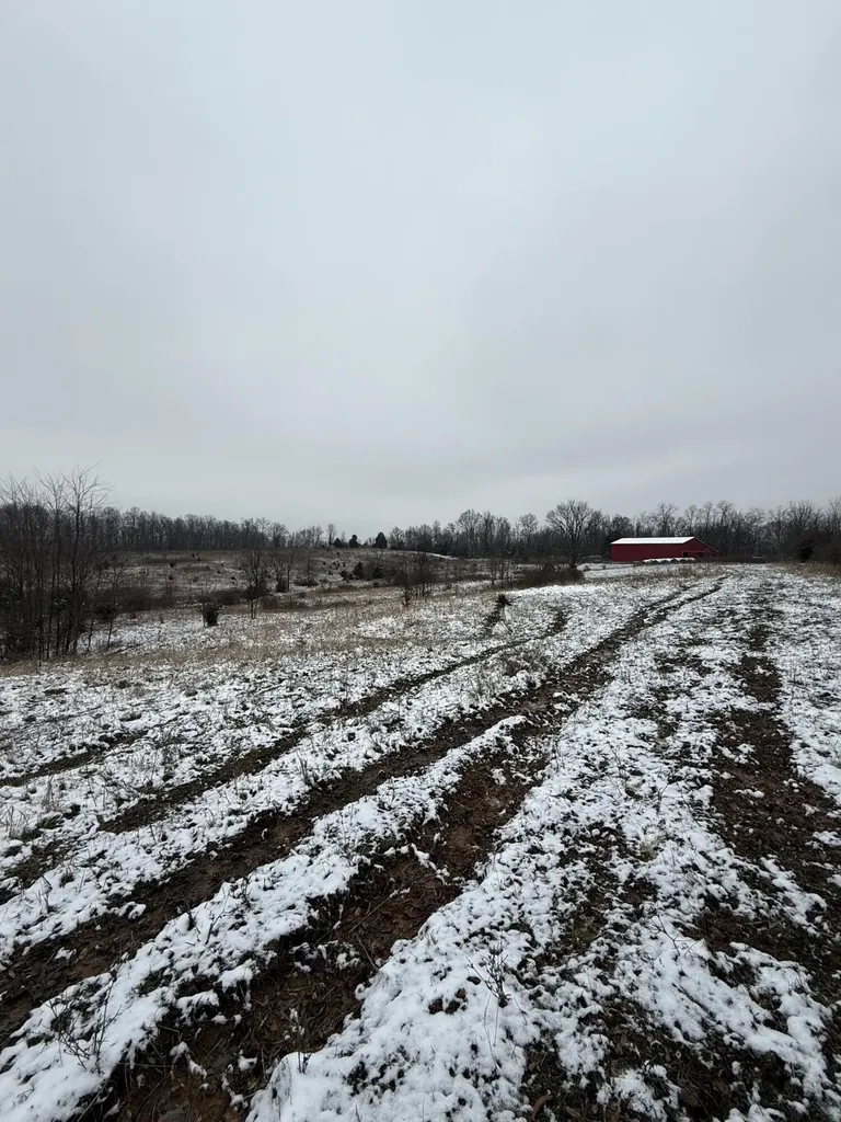 1013-B Salem Pike Cynthiana KY 41031