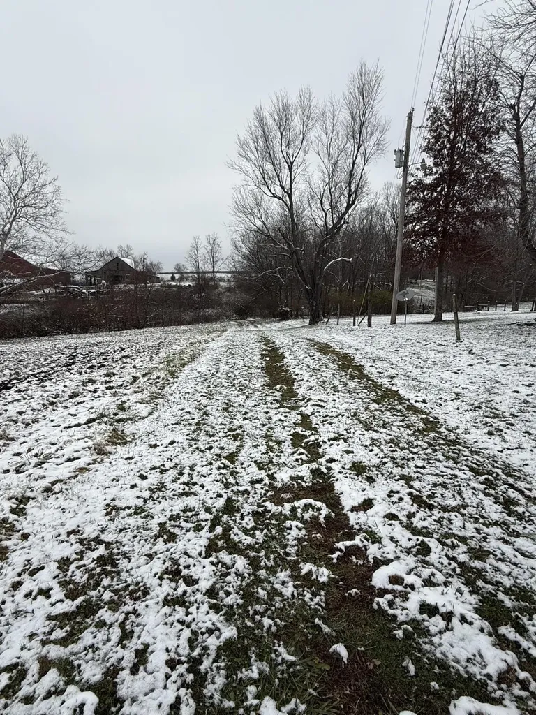 1013-B Salem Pike Cynthiana KY 41031