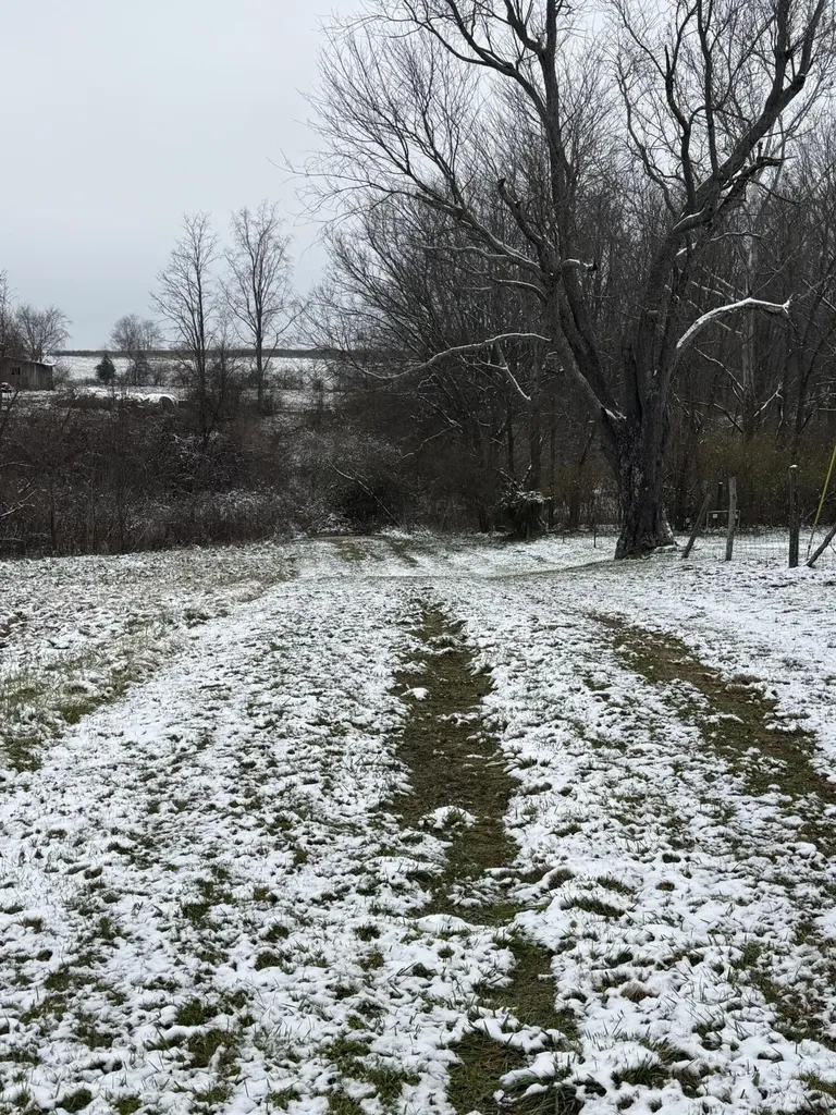1013-B Salem Pike Cynthiana KY 41031