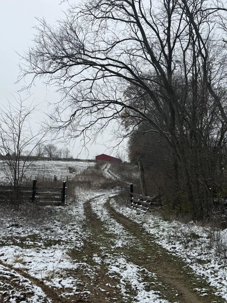 1013-B Salem Pike Cynthiana KY 41031