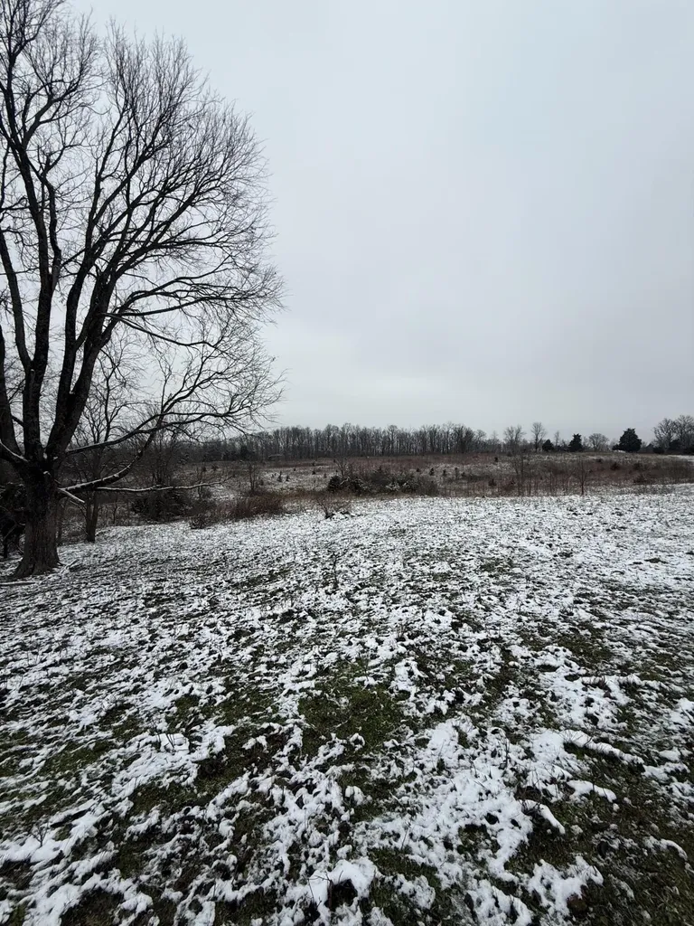 1013-B Salem Pike Cynthiana KY 41031