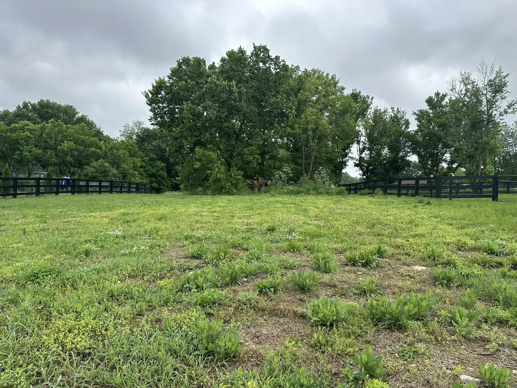 275 Northside Drive Midway KY 40347