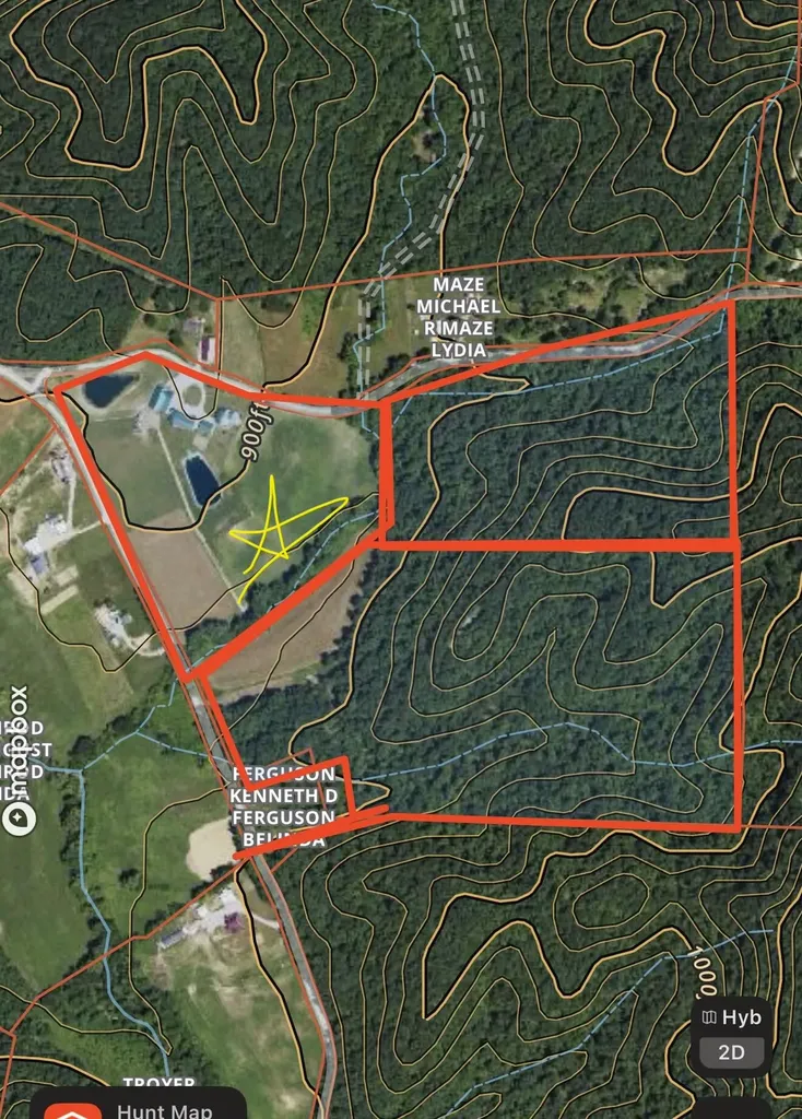 4445 Pine Grove Road Means KY 40346