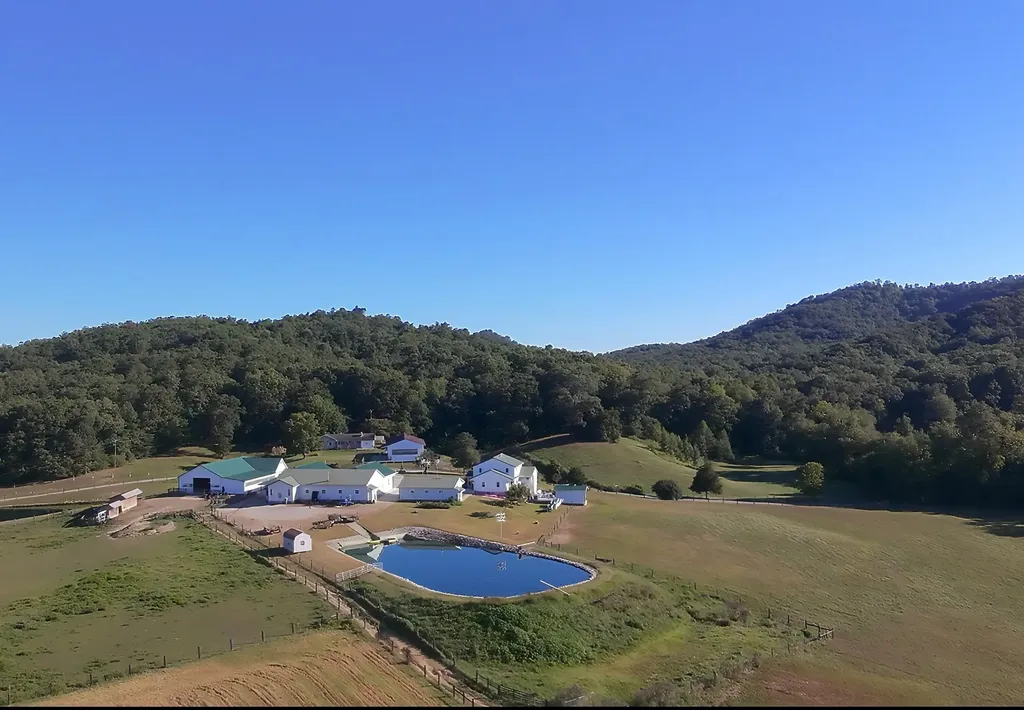 4445 Pine Grove Road Means KY 40346