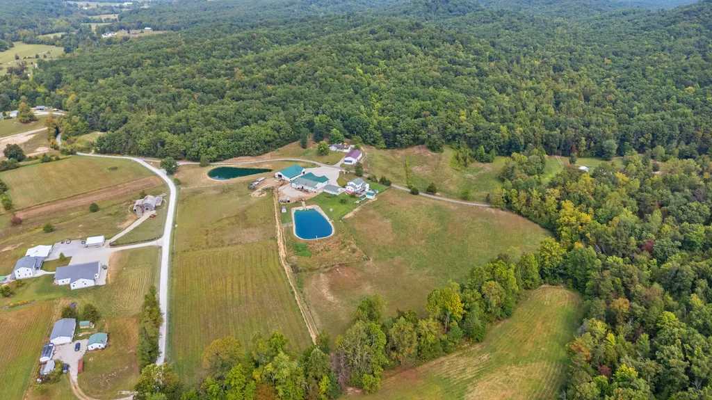 4445 Pine Grove Road Means KY 40346