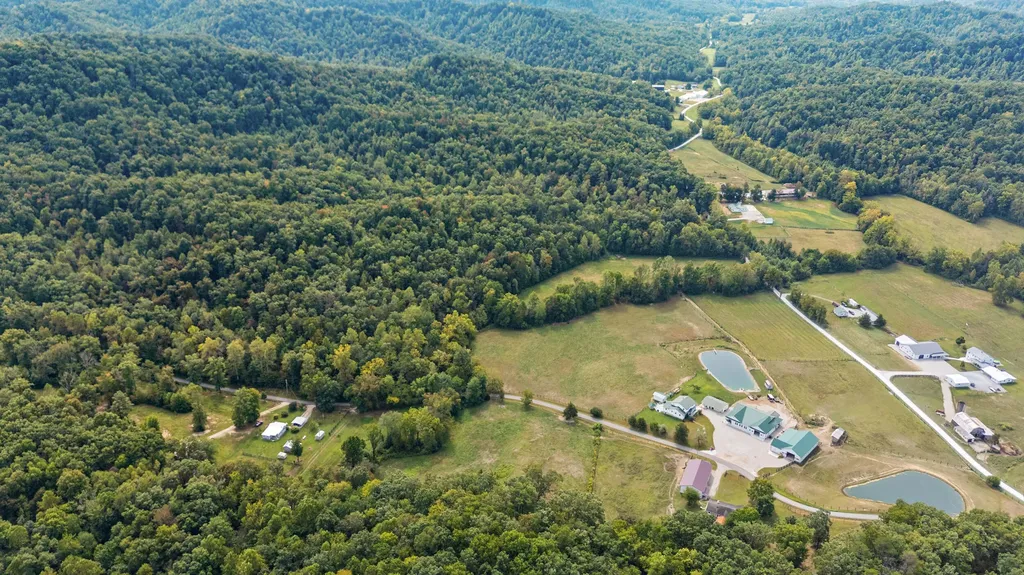 4445 Pine Grove Road Means KY 40346