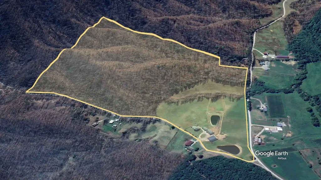 4445-3 Pine Grove Road Means KY 40346
