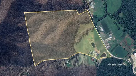 4445-3 Pine Grove Road Means KY 40346