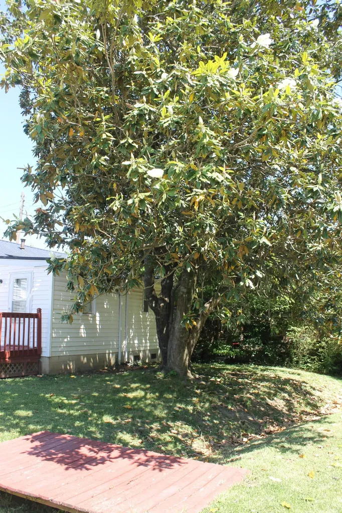 209 Boggs Lane Richmond KY 40475