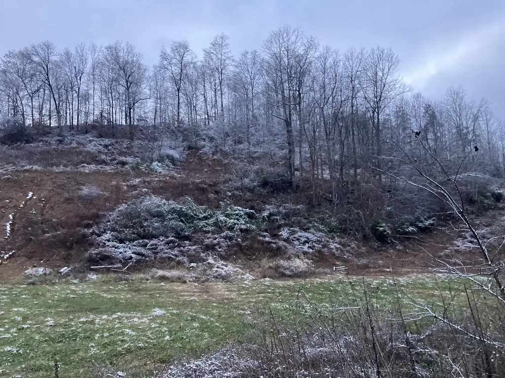 264 Sunshine Lane West Liberty KY 41472