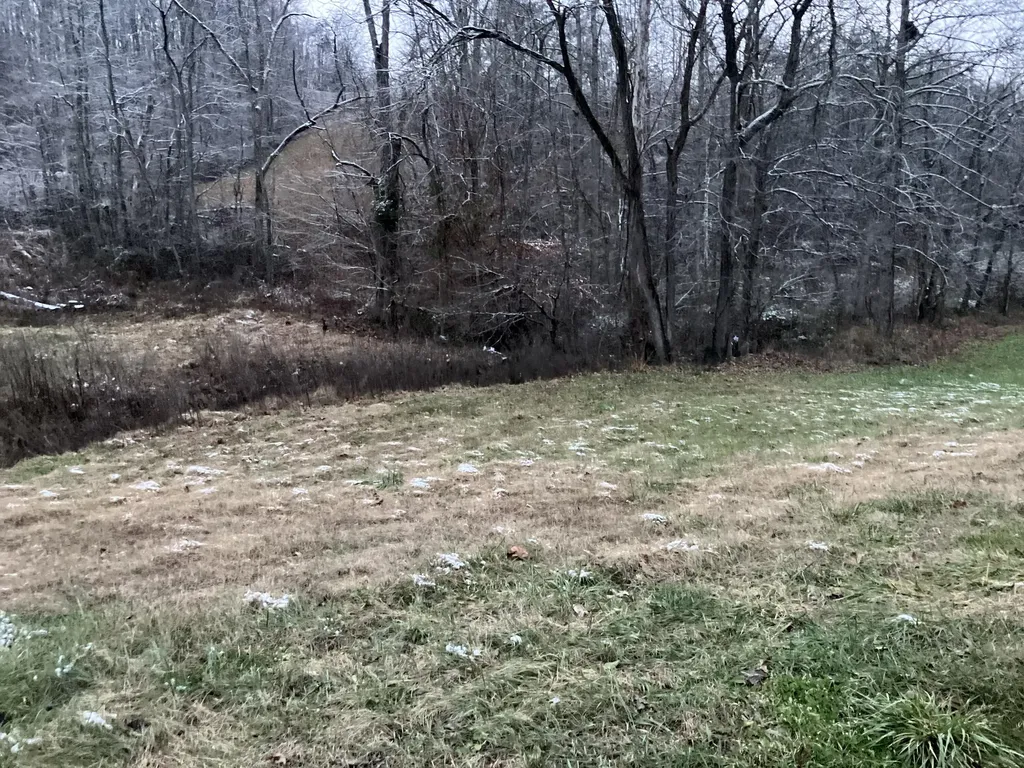 264 Sunshine Lane West Liberty KY 41472