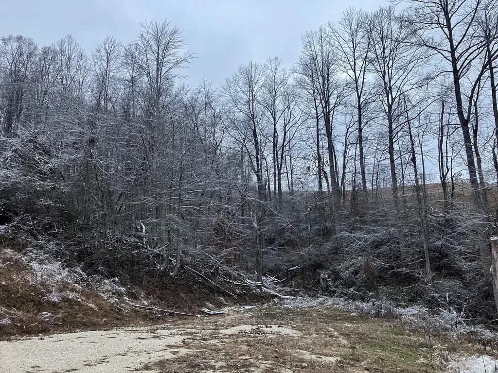 264 Sunshine Lane West Liberty KY 41472