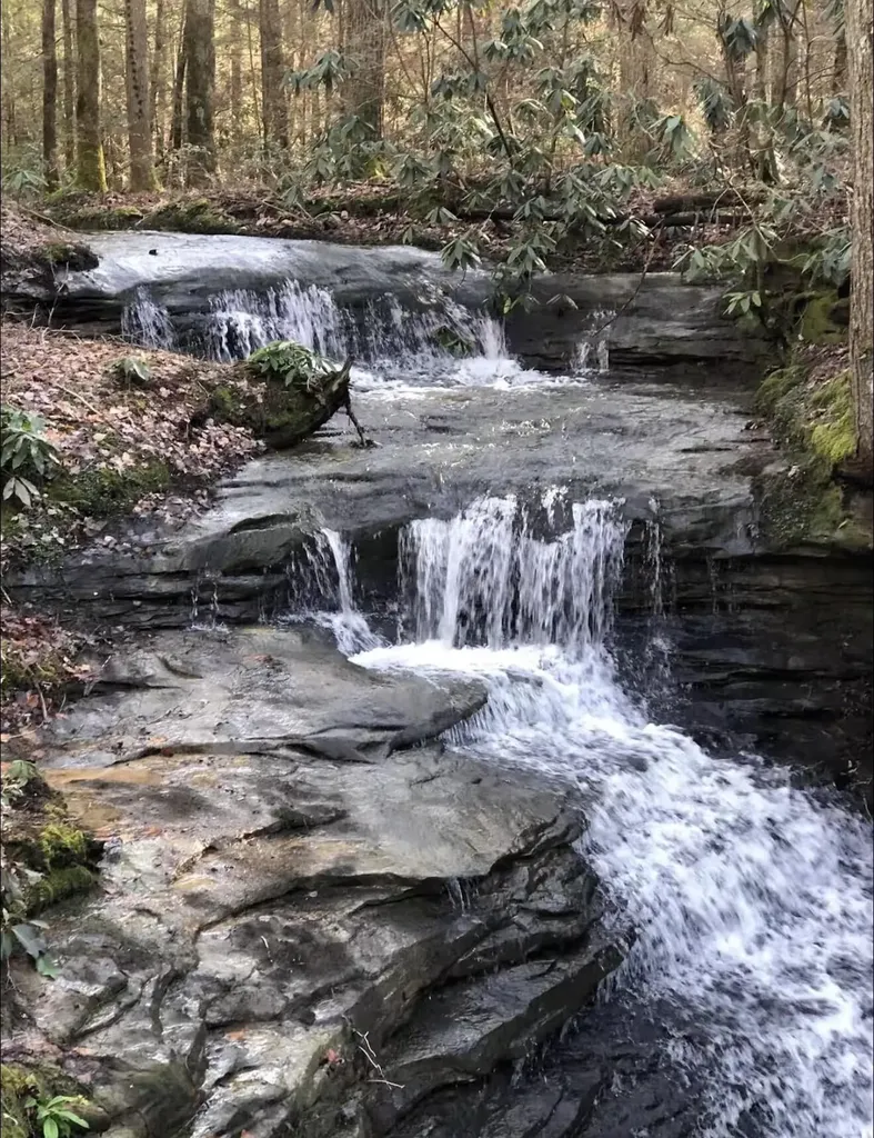 301 Otter Creek Road Strunk KY 42649