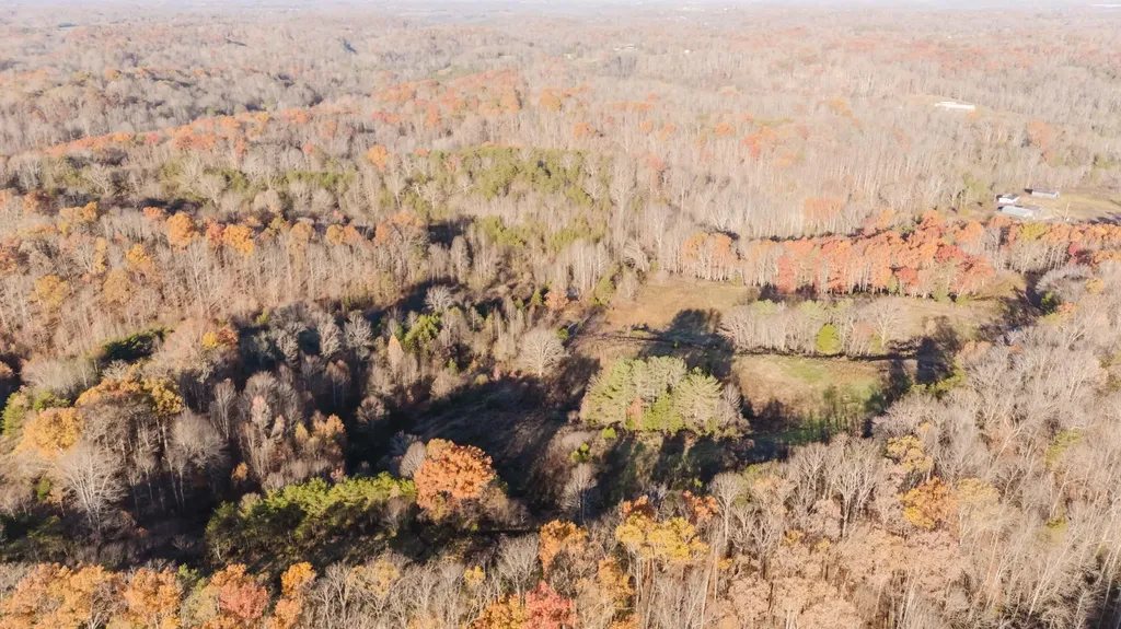 14 Lori Drive Irvine KY 40336