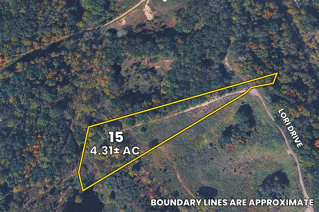 15 Lori Drive Irvine KY 40336