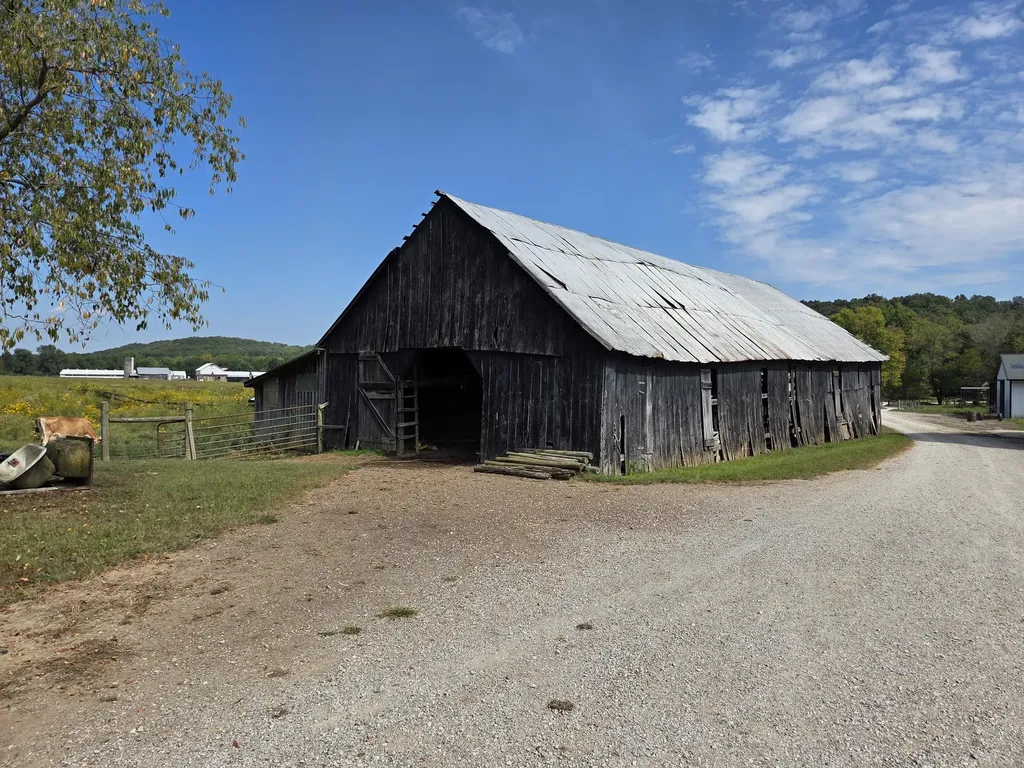 3557 Mill Creek Road Owingsville KY 40360