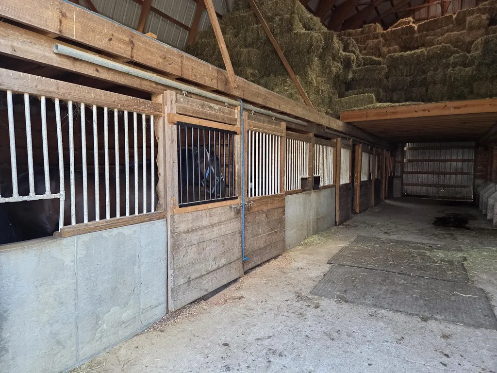 3557 Mill Creek Road Owingsville KY 40360