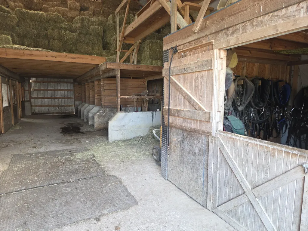 3557 Mill Creek Road Owingsville KY 40360