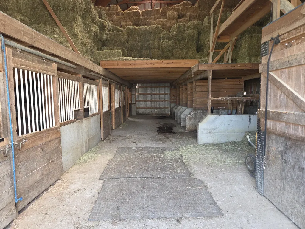 3557 Mill Creek Road Owingsville KY 40360