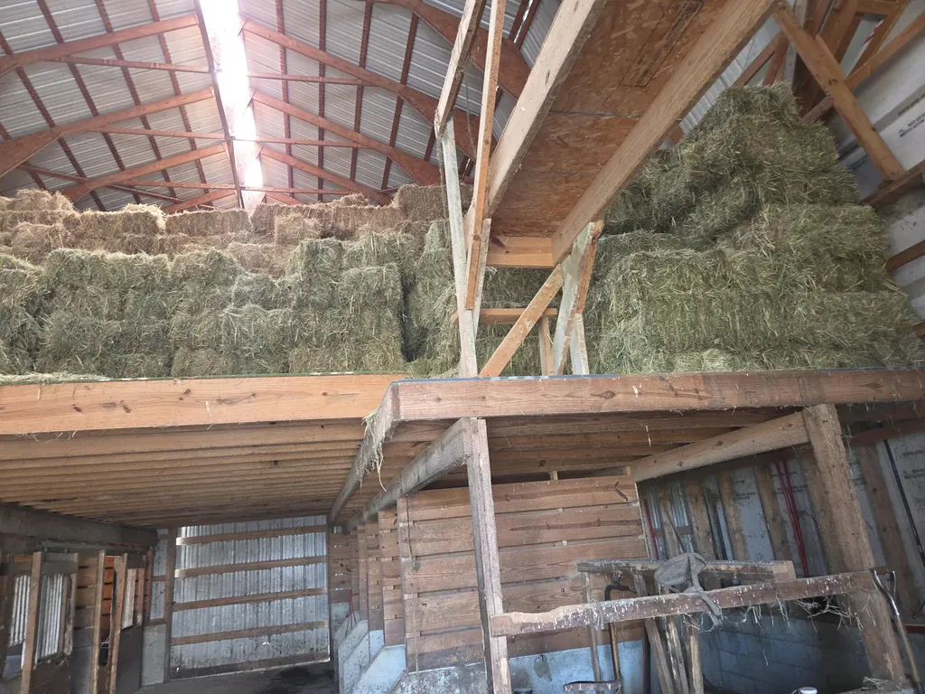 3557 Mill Creek Road Owingsville KY 40360