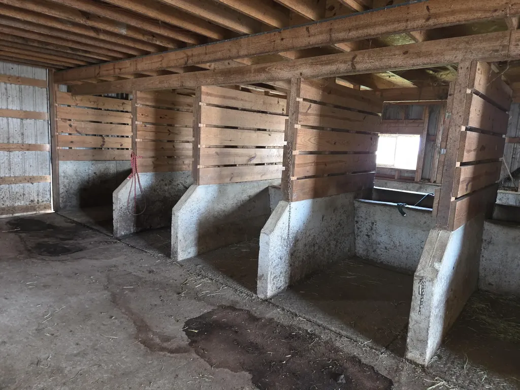 3557 Mill Creek Road Owingsville KY 40360