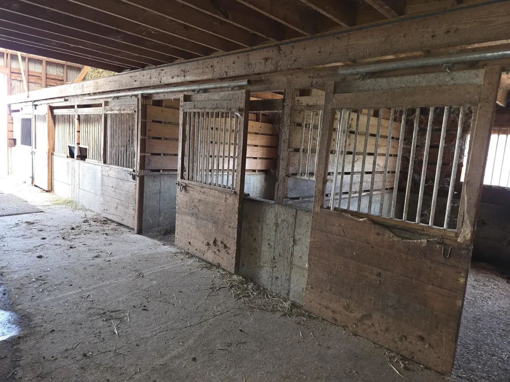 3557 Mill Creek Road Owingsville KY 40360