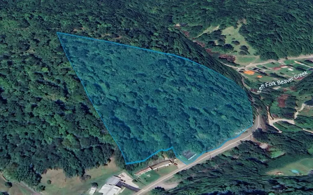 910 Ky-466 Bevinsville KY 41606
