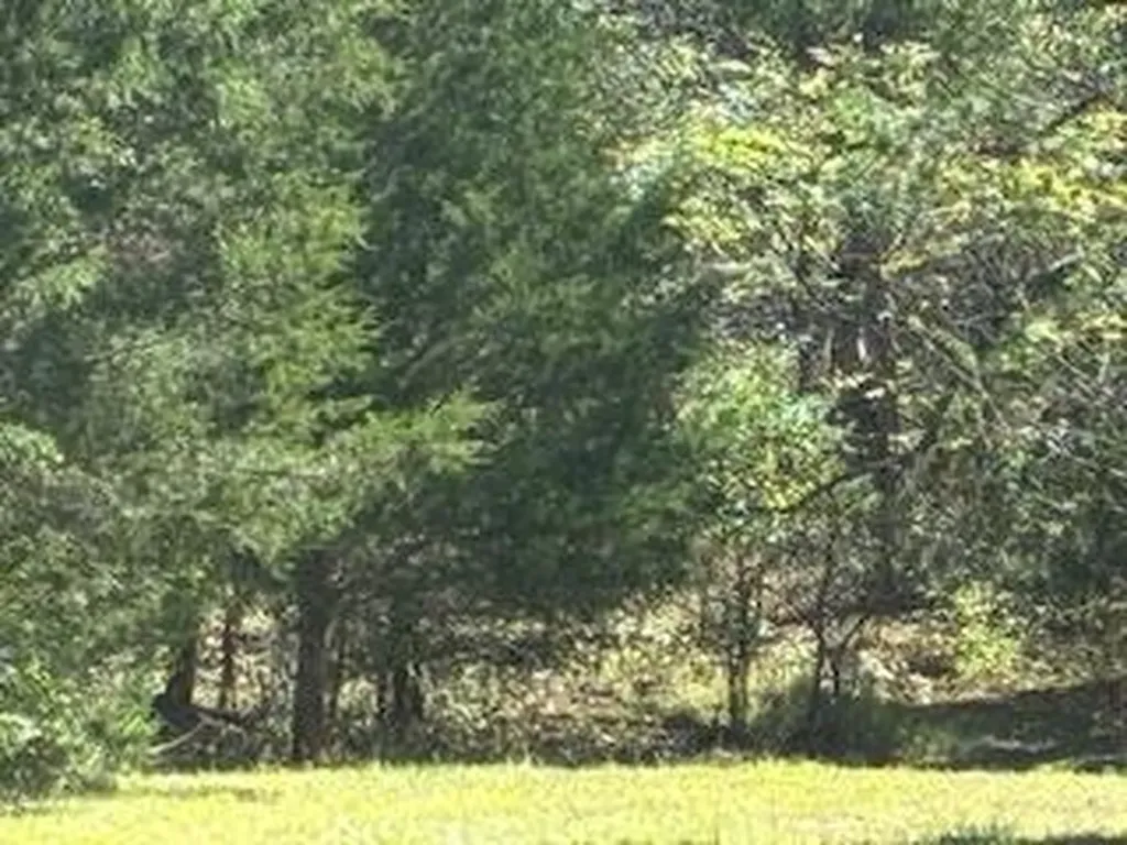 991 Wolfe Road Falmouth KY 41040