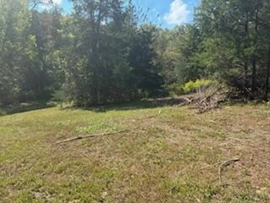991 Wolfe Road Falmouth KY 41040