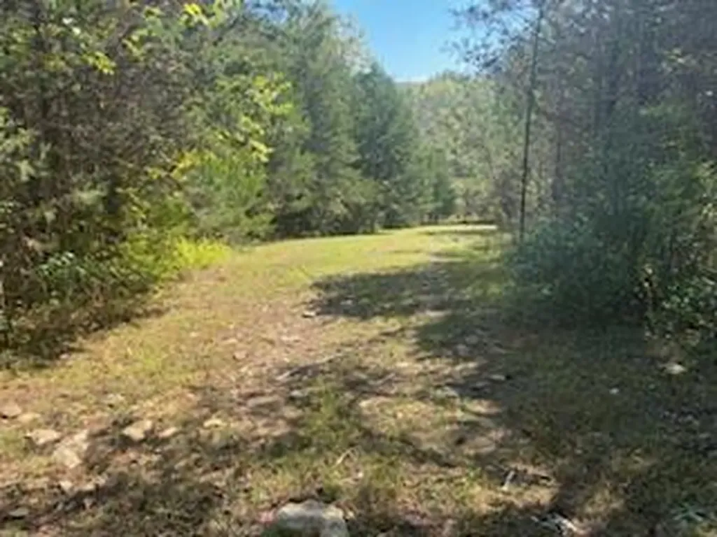 991 Wolfe Road Falmouth KY 41040