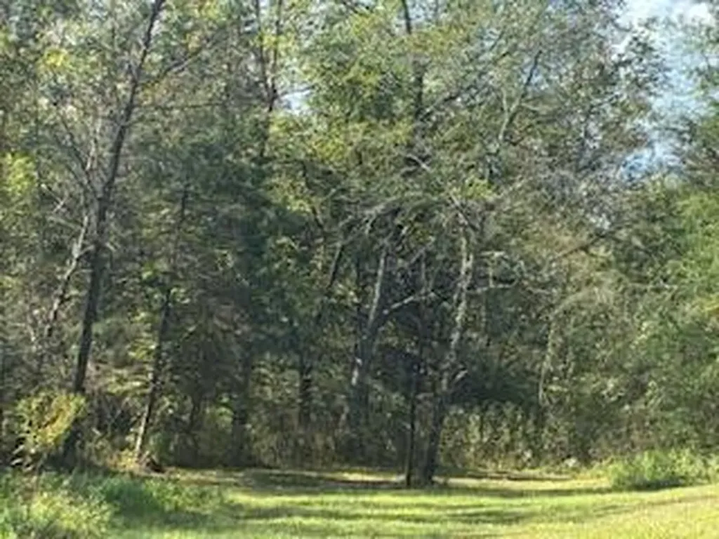 991 Wolfe Road Falmouth KY 41040