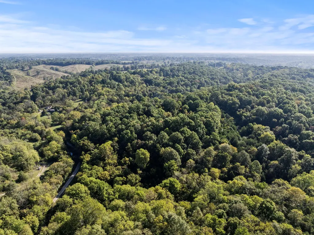 00 Caney Creek Road Stamping Ground KY 40379