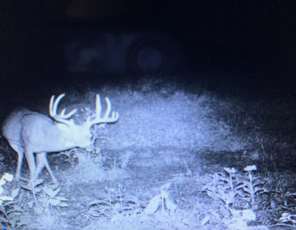 00 Caney Creek Road Stamping Ground KY 40379