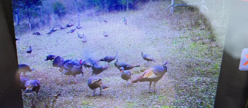 00 Caney Creek Road Stamping Ground KY 40379