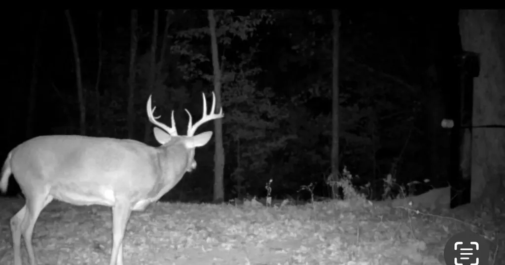00 Caney Creek Road Stamping Ground KY 40379