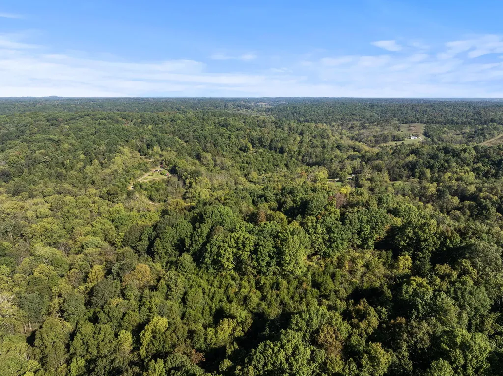 00 Caney Creek Road Stamping Ground KY 40379