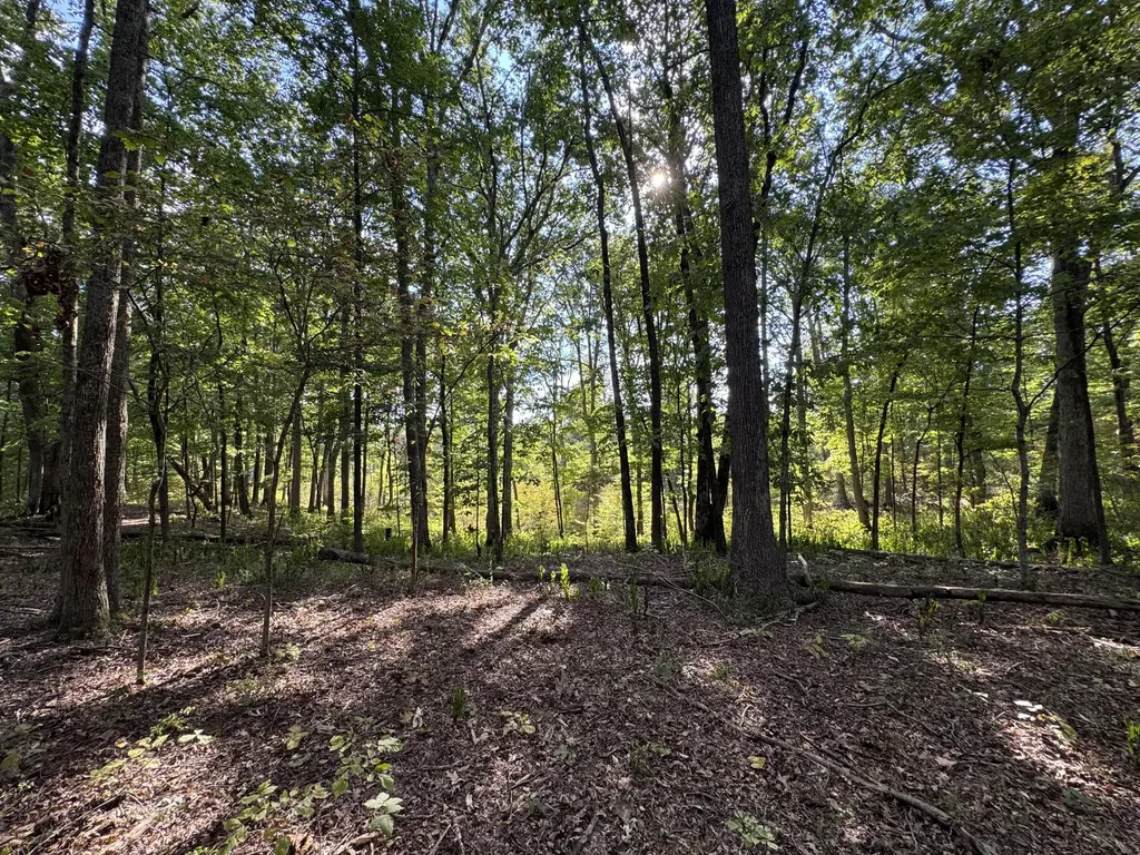 Phase 3 Fox Hollow Graefenburg Road Lawrenceburg KY 40342