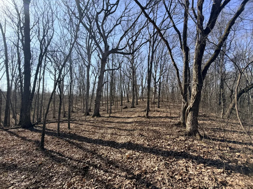 Phase 3 Fox Hollow Graefenburg Road Lawrenceburg KY 40342