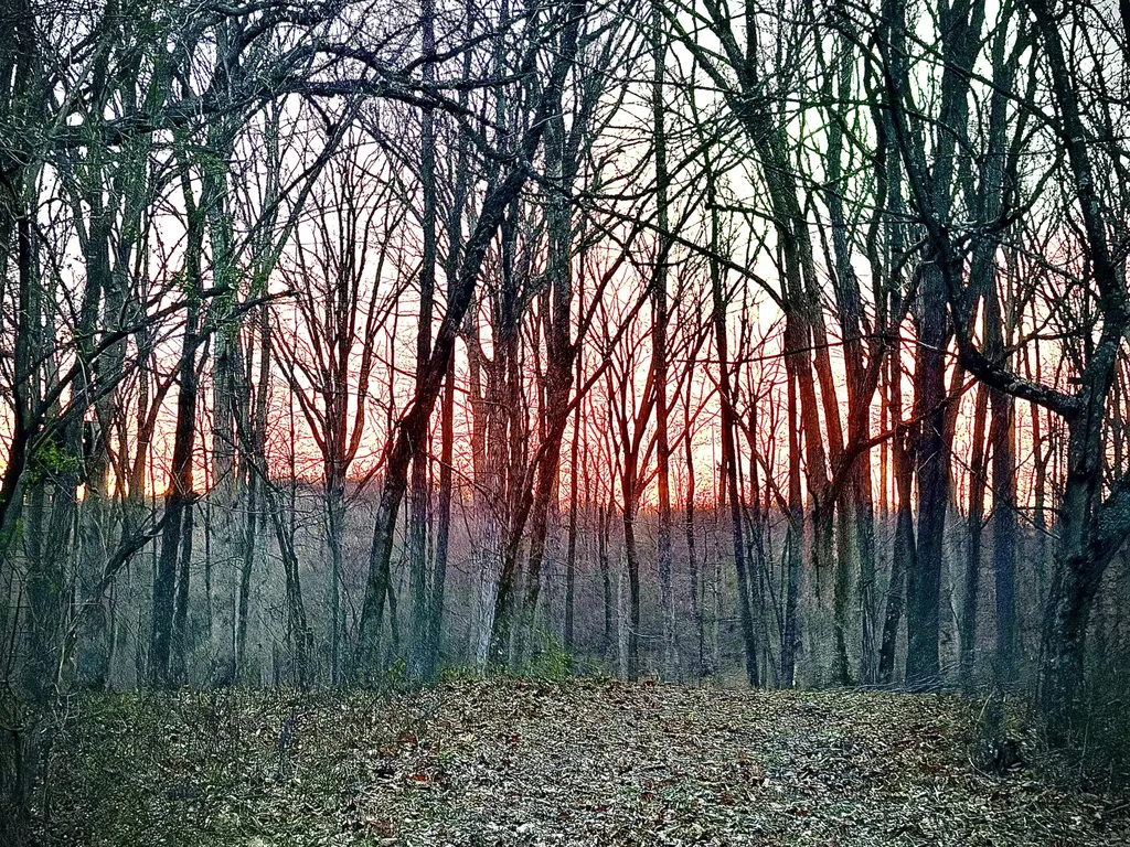 Phase 3 Fox Hollow Graefenburg Road Lawrenceburg KY 40342