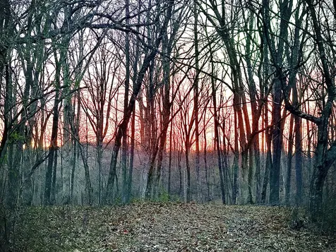 Phase 3 Fox Hollow Graefenburg Road Lawrenceburg KY 40342