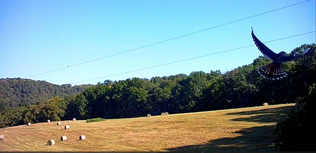 3890 Oregon Road Versailles KY 40383