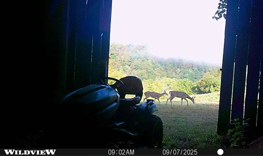 3890 Oregon Road Versailles KY 40383