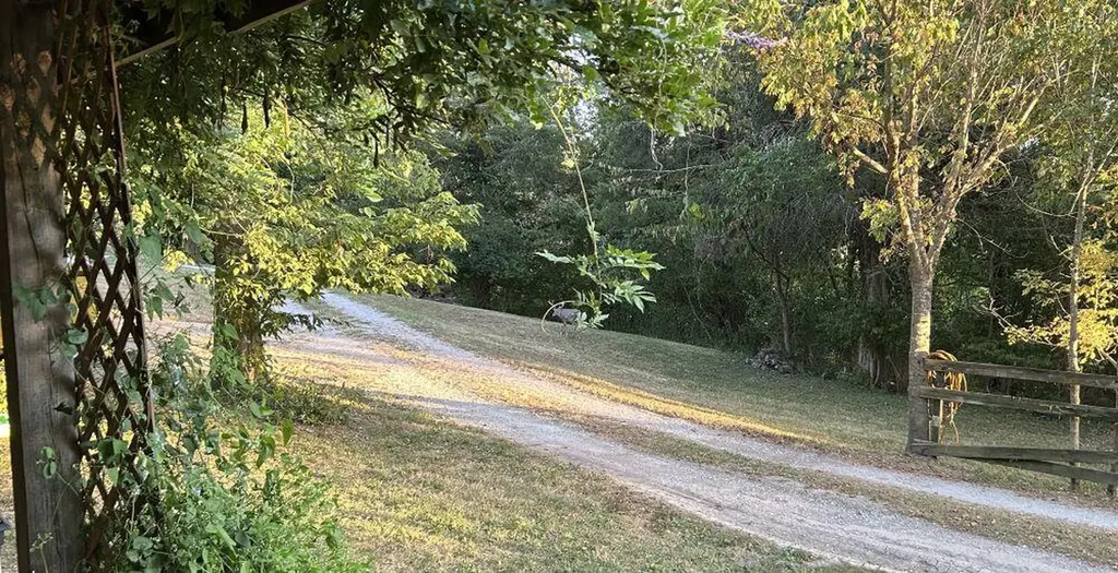 3890 Oregon Road Versailles KY 40383